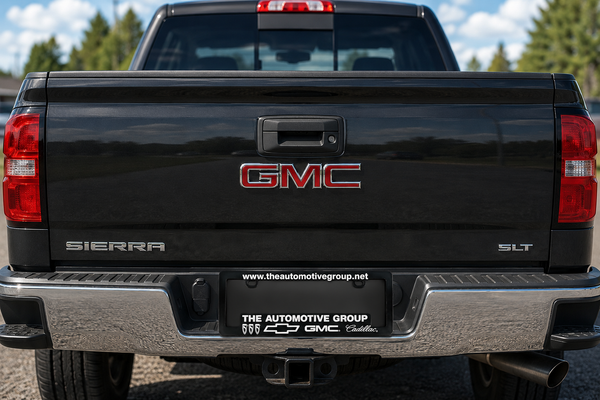 License Plate Frames & Protectors
