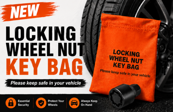 Locking Wheel Nut Bag - Generic (Package of 100)